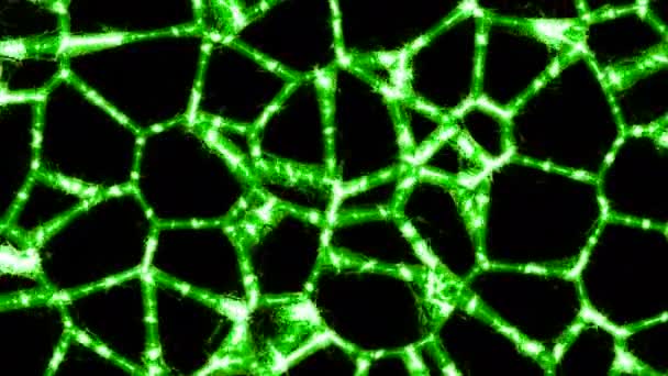 抽象ニューラルネットワークが動いている デザイン ブラックバック上の抽象的な生物学的ニューラルネットワーク 明るい移動パルスを持つ細胞のネットワーク — ストック動画