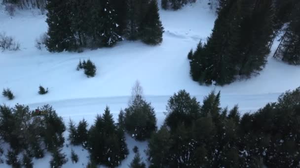Top Kilátás Snowmobile Lovaglás Téli Erdőben Csípés Snowmobile Fényszóró Túrák — Stock videók