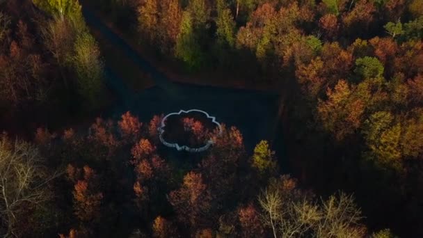 秋の森の噴水と道路のトップビュー クリップ 道は噴水で中心に交差する 曇った日の秋の森の噴水と十字路 — ストック動画