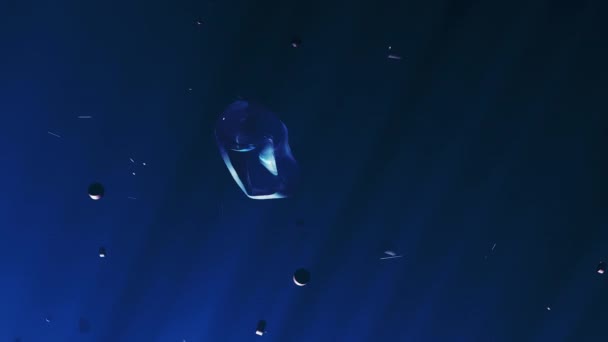 Fondo Submarino Abstracto Microplásticos Que Ponen Peligro Vida Marina Diseño — Vídeo de stock