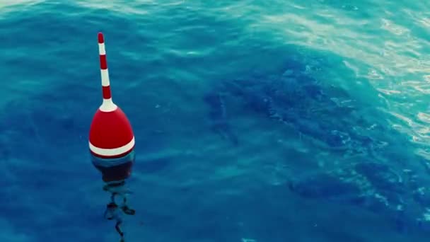 Vista Del Mar Azul Animación Diseño Agua Ligera Con Boyas — Vídeos de Stock