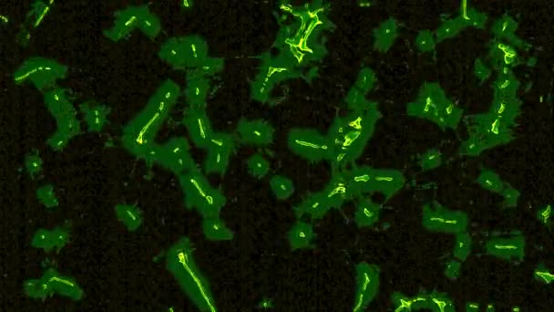 Microrganismos Bactérias Movimento Abstrato Sobre Fundo Preto Desenho Conceito Química — Vídeo de Stock