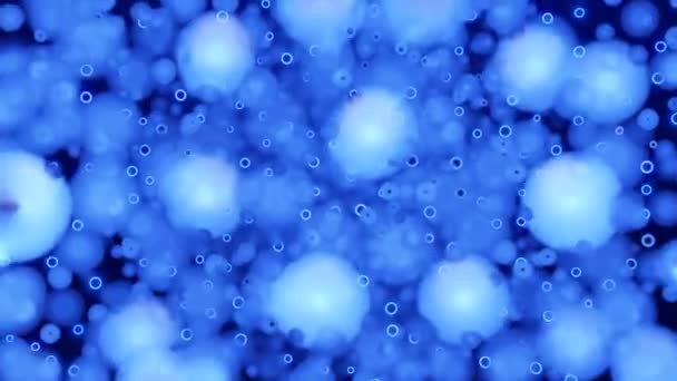Microrganismos Bactérias Movimento Abstrato Sobre Fundo Azul Desenho Conceito Química — Vídeo de Stock