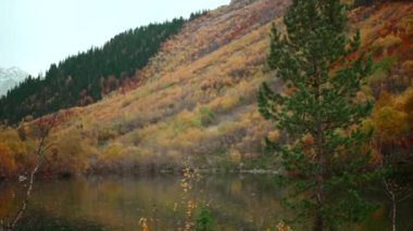 Renkli sonbahar dağları olan güzel bir göl. Yaratıcı. Sonbahar ağaçları ve dağ yamaçları olan göl. Güzel sonbahar yaban hayatı manzaraları. 