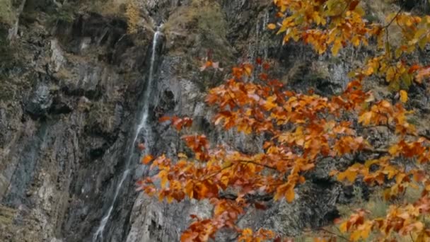 High Waterfall Flows Cliff Autumn Forest Creative Picturesque Landscape Cliff — Stock Video