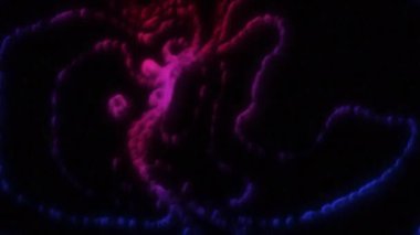 Renkli kıvrımlı çizgilerle enerji darbeleri. Hareket. Siyah arkaplanda dairesel çizgiler olan renkli bilgisayar darbeleri. Siber retro tarzında nabız çizgileri. 