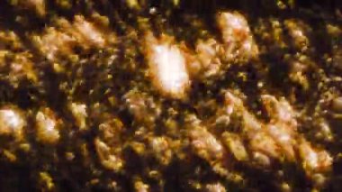 Köpüklü altın konfeti. Hareket. Animasyonda parlayan bulanık bir arkaplan, soyut olarak turuncu ve altın renklerle parıldıyor. Yüksek kalite 4k görüntü