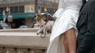 Mermer korkulukta oturan beyaz elbiseli bir kadının portresi. Başla. Şirin bir köpek yavrusu ve takım elbiseli bir erkek. 