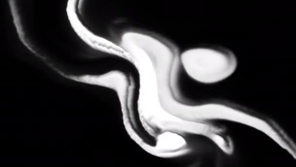 白色幽灵般的线条流淌 白色的烟熏线条在黑色背景上沿着弯曲的溪流流动 灵魂幽灵般的能量曲线 — 图库视频影像