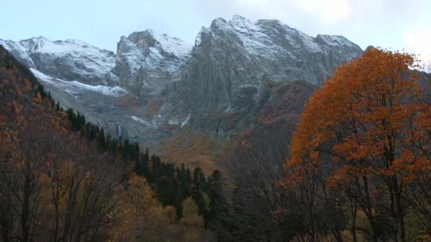Prachtig Uitzicht Herfstbomen Achtergrond Van Bergen Creatief Wilde Dieren Het — Stockvideo
