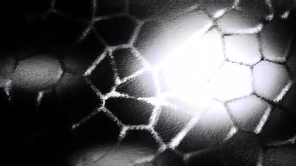 Hücre Bölünmesi Mitoz Bölünmenin Bilimsel Animasyonu Hareket Hücrelerin Hareketinin Soyut — Stok video