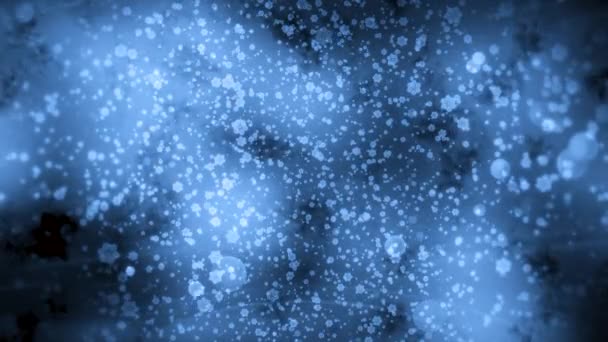 Blue Gray Background Winter Snowflakes Motion Large Pieces Snow Flying — Stock Video