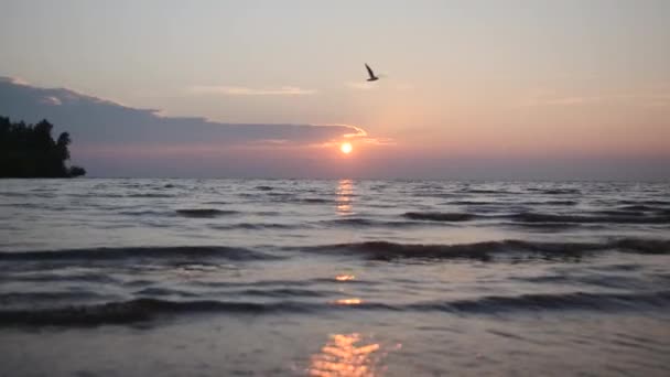 Prachtig Landschap Met Kleine Golven Met Zee Zonsondergang Creatief Golven — Stockvideo