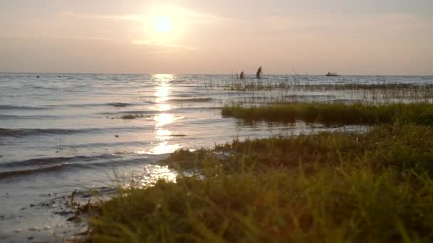 日没時に村の湖に浮かぶ人々のシルエット クリエイティブ 人々は日没に湖で泳いでいる 日没に浮かぶ人々と美しい風景 — ストック動画
