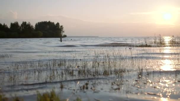 日没時に村の湖に浮かぶ人々のシルエット クリエイティブ 人々は日没に湖で泳いでいる 日没に浮かぶ人々と美しい風景 — ストック動画
