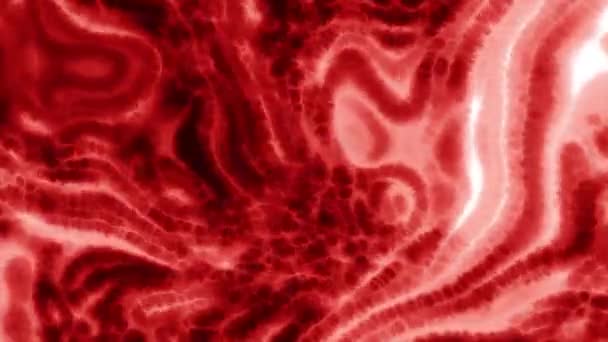 Distorções Plasmáticas Fluido Movimento Moção Líquido Metálico Brilhante Com Linhas — Vídeo de Stock