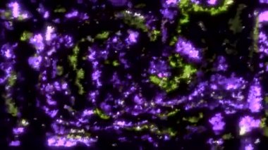 Sıvı akışında parlayan parlak parçacıklar. Hareket. Flüoresan parlayan parçacıklarla soyut sıvı dalgalanmaları. Siyah arkaplanda akış halinde renkli parlayan parçacıklar. 