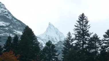 Büyük yüksek dağlar. Yaratıcı. Karla kaplı dev tepeler ve etrafını yeşil köknar ağaçları ve çam ağaçları kaplamış. Yüksek kalite 4k görüntü