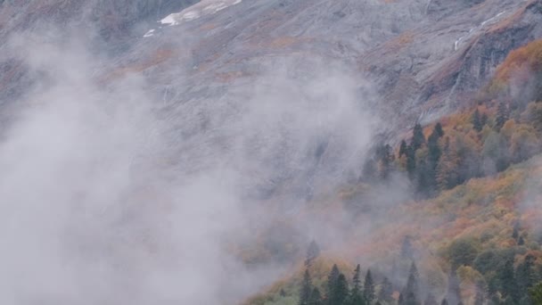 巨大的群山屹立在白雾之下 在长满苔藓的山上生长着巨大的黄绿色森林 高质量的4K镜头 — 图库视频影像