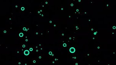 Siyah arka planda uçuşan sabun köpükleri. Tasarım. Renkli halka siluetleri 