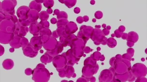 紫色的血细胞在血液中流动 白色背景上的粉红颗粒 — 图库视频影像