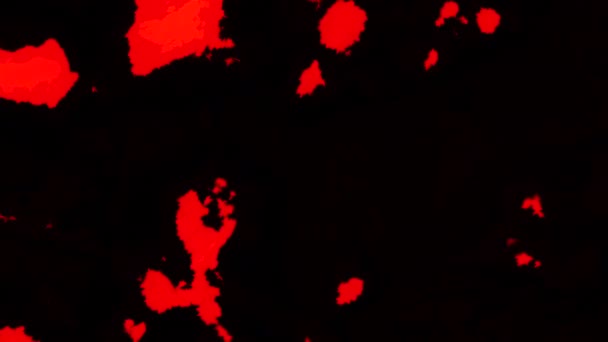 Fondo Negro Con Manchas Rojas Azules Que Aparecen Moción Manchas — Vídeo de stock