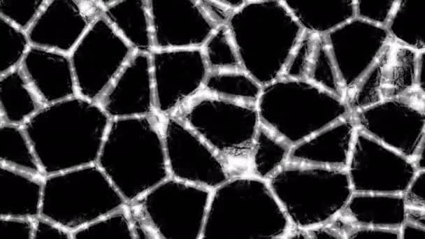 動く細胞が付いている光るパターンのライン デザイン ブラックバックで明るい線でセルパターンを変更します 幾何学的細胞を用いた移動パターンのパルス — ストック動画