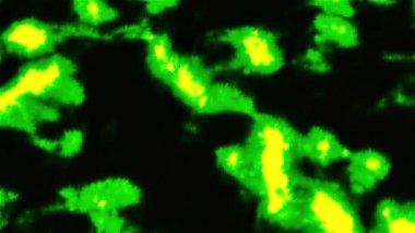 Yeşil neon lekeler. Hareket. Işıldayan üç boyutlu formatta yapılmış parlak noktalar. Yüksek kalite 4k görüntü