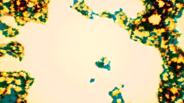 通过显微镜模仿景色的动画 移动的细菌背景 医学概念 — 图库视频影像