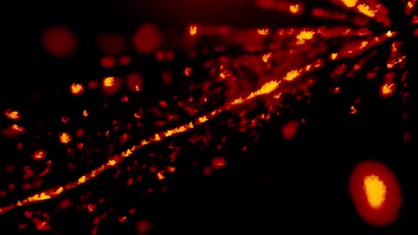 검은색 배경에 빛나는 입자의 추상적인 움직임 빨간색과 노란색 — 비디오