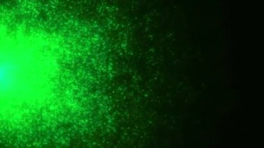 Yeşil ve sarı parıltı. Hareket. Parlak bir soyutlama ile parlak bir ışık saçan siyah bir arkaplan. Yüksek kalite 4k görüntü