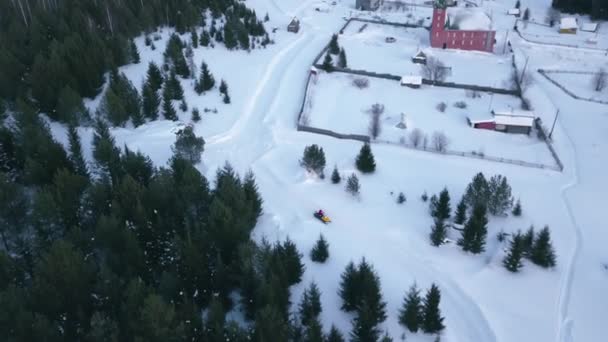 Vista Superior Moto Nieve Conduciendo Largo Del Camino Forestal Clip — Vídeos de Stock