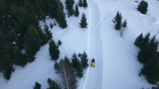 在森林路上驾驶雪地摩托的头像 雪地摩托行驶在美丽的雪地小路上 林区冬季雪地自行车道 — 图库视频影像