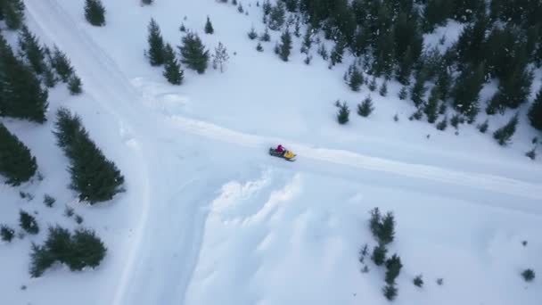 森林里雪地摩托的最高视图 在森林里的冬季公路上 一辆雪地摩托驾驶着 雪地摩托穿越冬季森林 — 图库视频影像