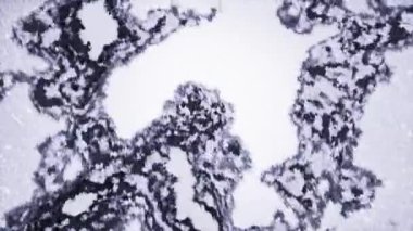 Virüs noktalı hareketli noktaların soyut animasyonu. Hareket. Virüslü ve benekli mikrobik noktalar uzayda hareket ediyor. Mikroskop altında hareket eden virüs veya mikropların animasyonu. 