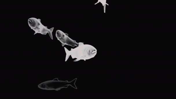 Fondo Negro Con Pescado Blanco Diseño Grandes Peces Transparentes Tonos — Vídeos de Stock