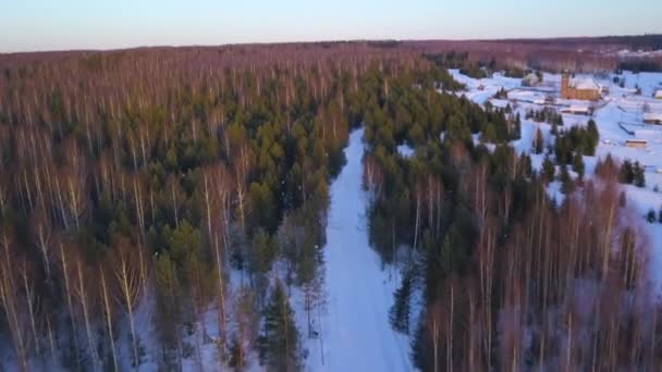 Kuş Bakışı Bir Beyaz Kış Ormanı Şarjör Ocak Ayı Manzarası — Stok video