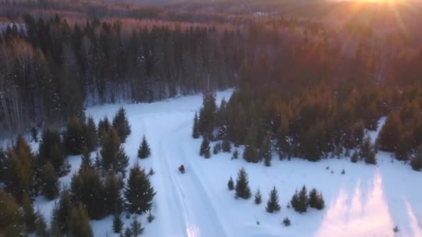Téli Havas Napos Reggel Kilátás Drónról Csípés Fényes Tél Robogóval — Stock videók