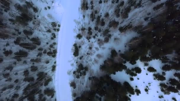Drum Iarnă Între Copacii Luați Dintr Dronă Clip Peisaje Iarnă — Videoclip de stoc