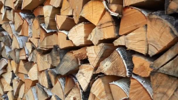 Zbliżenie Dostaw Drewna Opałowego Media Dużo Pokrojonego Drewna Zimę Dostawy — Wideo stockowe