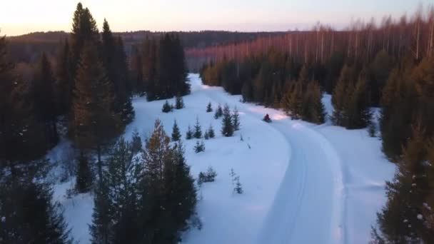 Téli Havas Napos Reggel Kilátás Drónról Csípés Fényes Tél Robogóval — Stock videók