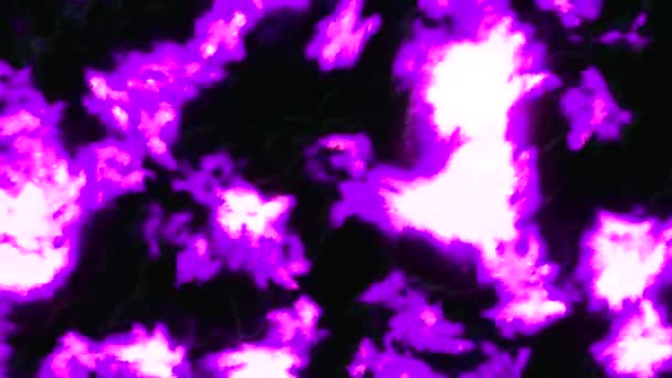 在黑色背景上散播病毒细胞或细菌 自然微生物与科学的概念 — 图库视频影像