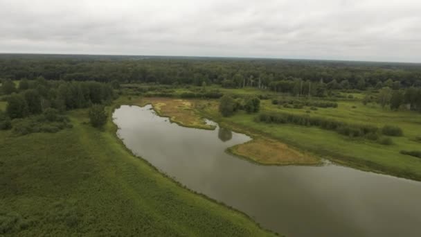 Spokojny Opuszczony Krajobraz Lotu Ptaka Materiał Filmowy Zielona Polana Rzeką — Wideo stockowe