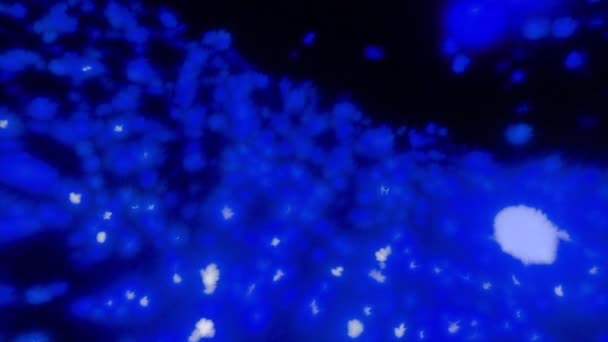 发光疾病球的抽象动画 在太空中飞行的毛茸茸的发光球 过敏原或细菌群 — 图库视频影像