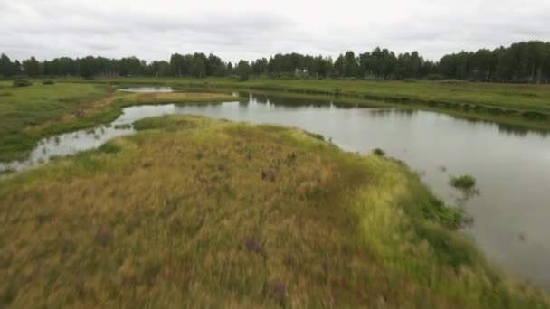 Letní Klidná Krajina Bez Lidí Záběry Skladu Zelené Pozadí Jezerem — Stock video