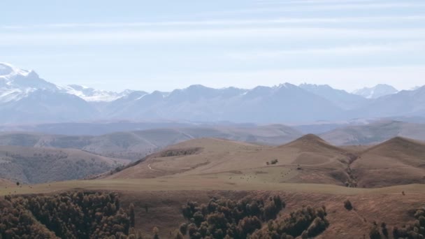 色彩斑斓的山谷 有黄色的草地 还有巨大的白峰冷山 晨雾中白雪覆盖着群山 — 图库视频影像