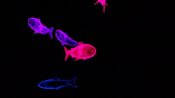 Αφηρημένη Ροή Σιλουέτες Των Πολύχρωμων Ψαριών Που Απομονώνονται Μαύρο Φόντο — Αρχείο Βίντεο