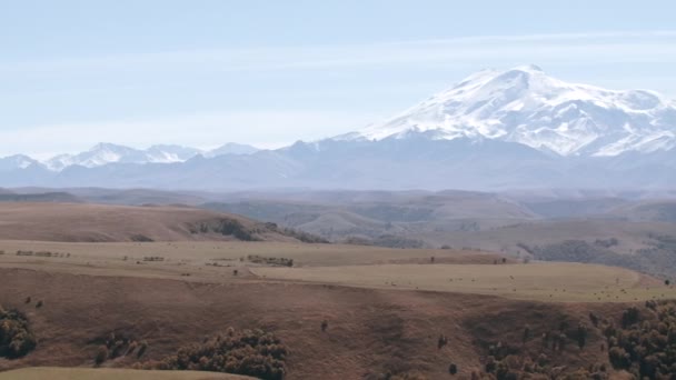 色彩斑斓的山谷 有黄色的草地 还有巨大的白峰冷山 晨雾中白雪覆盖着群山 — 图库视频影像