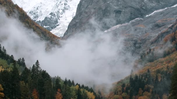 Sis Hızla Vadiye Iner Yaratıcı Bulutlardaki Güzel Dağ Manzarası Zaman — Stok video