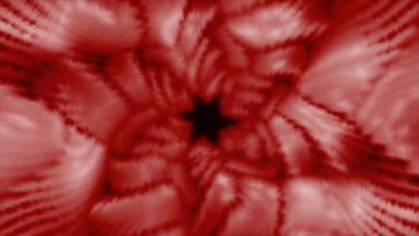 Red Corridor Form Flower Motion Interesting Shape Rotating Corridor Made — Stock Video